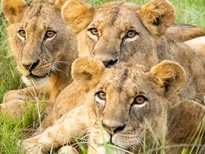 Samburu National Reserve